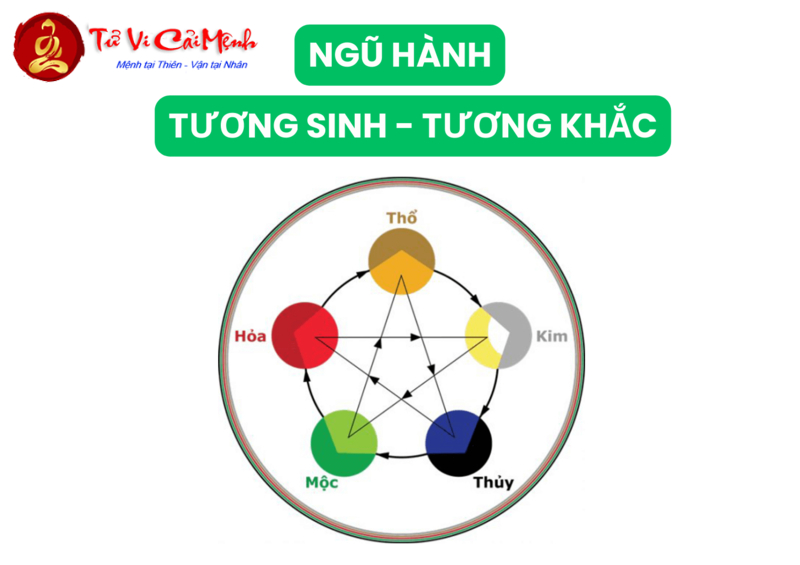 Sinh Năm 1981 Mua Xe Màu Gì? Chọn Đúng Màu Để Rước Tài Lộc, Tránh Vận Xui!