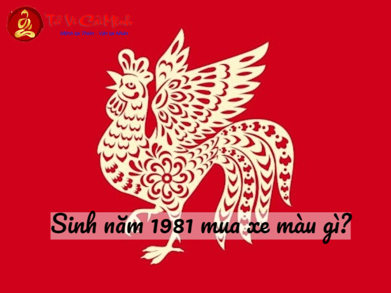 Sinh Năm 1981 Mua Xe Màu Gì? Chọn Đúng Màu Để Rước Tài Lộc, Tránh Vận Xui!