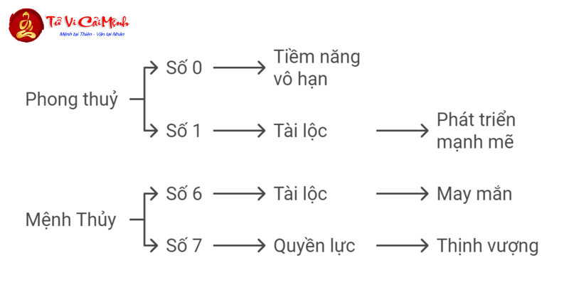 Sinh Năm 1982 Hợp Số Mấy? Khám Phá Sim Phong Thủy Kích Tài Lộc Cho Nhâm Tuất