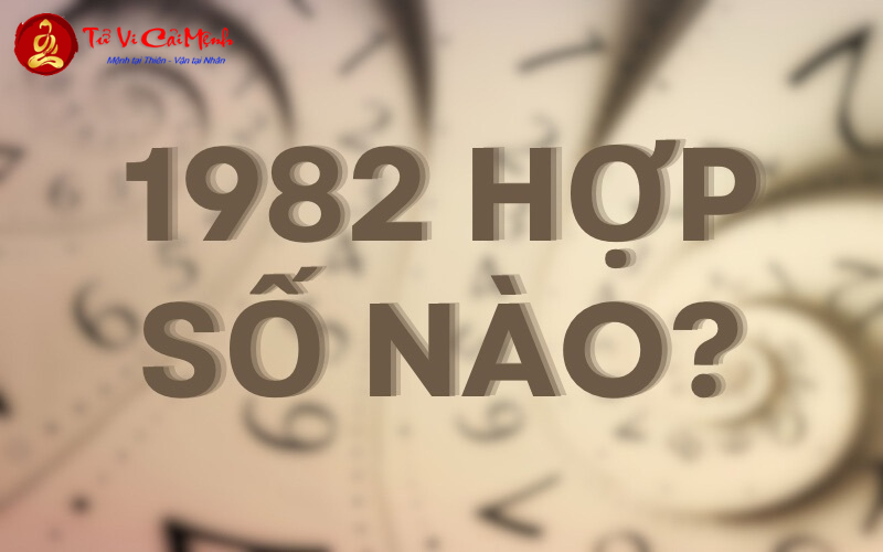 Sinh Năm 1982 Hợp Số Mấy? Khám Phá Sim Phong Thủy Kích Tài Lộc Cho Nhâm Tuất