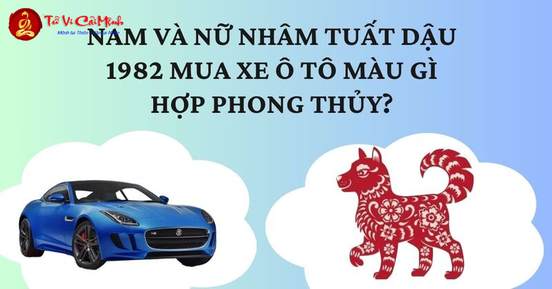 Sinh Năm 1982 Mua Xe Màu Gì? Chọn Đúng Màu Xe Để Đón Tài Lộc, Tránh Vận Xui