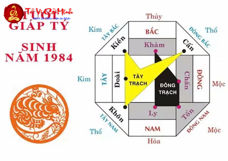 Bí Quyết Chọn Hướng Nhà Mang Tài Lộc Cho Người Sinh Năm 1984 Tuổi Giáp Tý