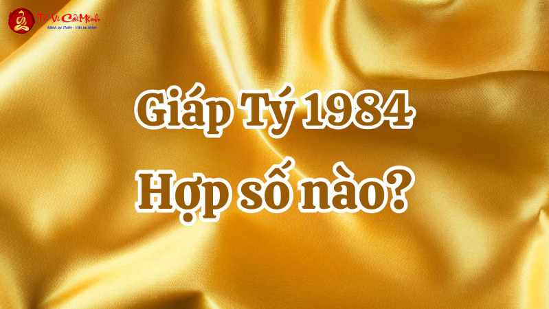 Giải Mã Bí Ẩn Con Số Hợp Tuổi 1984: Cách Chọn Sim Phong Thủy Tăng Tài Lộc Ngay Hôm Nay!
