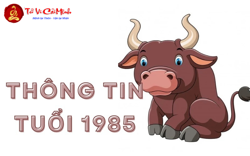 Khám Phá Hướng Kê Giường Ngủ Hợp Phong Thủy Cho Tuổi Ất Sửu 1985 Để Hút Tài Lộc Và Cải Thiện Sức Khỏe