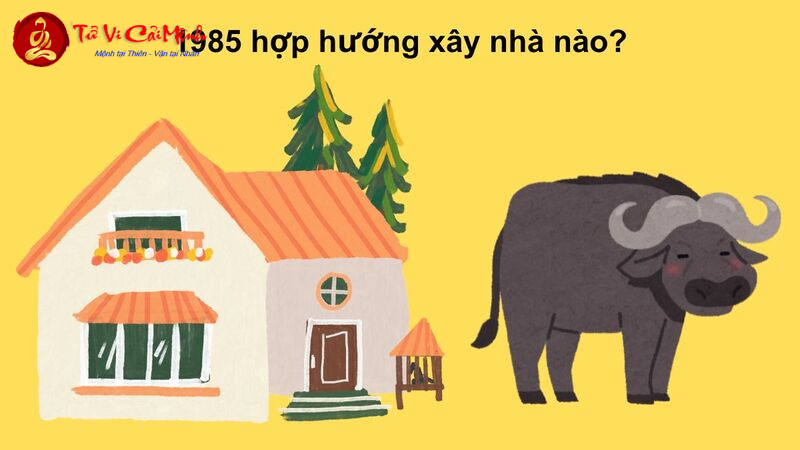 Sinh Năm 1985: Chọn Hướng Nào Để Giàu Sang, Khỏe Mạnh Và Gia Đình Hòa Thuận?