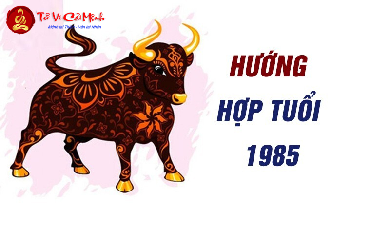 Sinh Năm 1985: Chọn Hướng Nào Để Giàu Sang, Khỏe Mạnh Và Gia Đình Hòa Thuận?