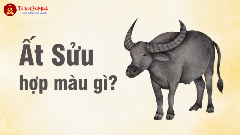 Sinh năm 1985 hợp màu gì? Phân tích chi tiết màu sắc may mắn cho tuổi Ất Sửu