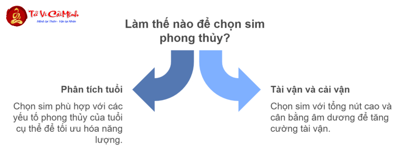 Sinh Năm 1985? Khám Phá Con Số Vàng Và Bí Mật Sim Phong Thủy Thay Đổi Vận Mệnh!