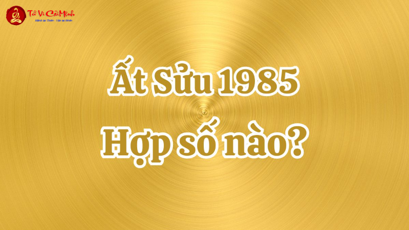 Sinh Năm 1985? Khám Phá Con Số Vàng Và Bí Mật Sim Phong Thủy Thay Đổi Vận Mệnh!