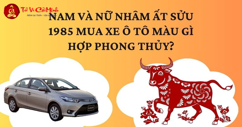 Sinh Năm 1985? Khám Phá Màu Xe Giúp Bạn Hút Tài Lộc Và Tránh Xui Xẻo!