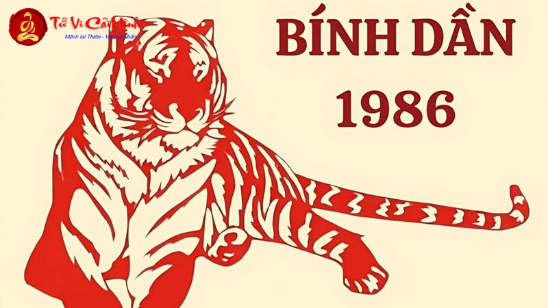 Bí Mật Hướng Nhà Đem Lại Tài Lộc Cho Tuổi Bính Dần 1986 – Bạn Đã Biết Chưa?