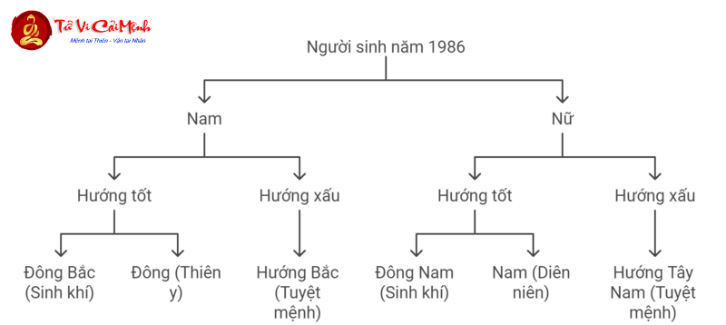 Bí Mật Hướng Nhà Đem Lại Tài Lộc Cho Tuổi Bính Dần 1986 – Bạn Đã Biết Chưa?