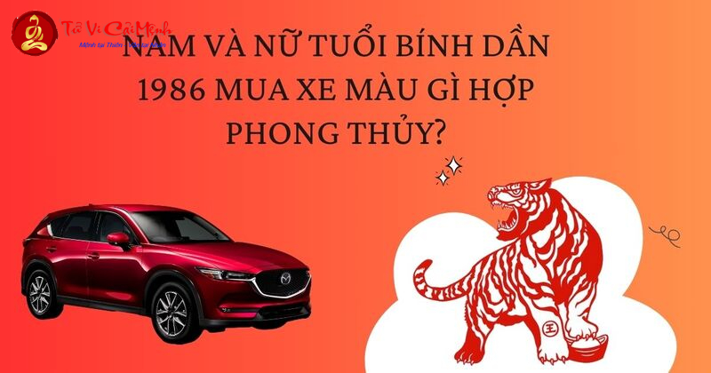 Sinh Năm 1986 Mua Xe Màu Gì? Chọn Đúng Màu Để Kích Tài Lộc, Tránh Vận Xui!