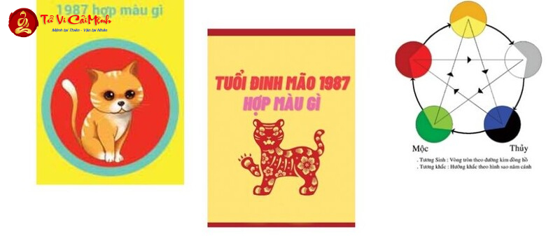 Người Sinh Năm 1987 Hợp Màu Gì? Bí Quyết Thu Hút Tài Lộc và Vận May!