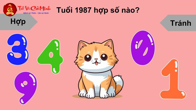 Khám Phá Con Số May Mắn Năm 1987: Bí Mật Sim Phong Thủy Đổi Đời!