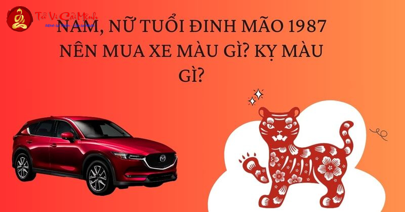 Người Sinh Năm 1987 Nên Mua Xe Màu Gì Để Thu Hút Tài Lộc Và Vận May?