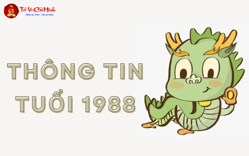 Sinh năm 1988 mệnh gì? Giải mã toàn diện vận mệnh tuổi Mậu Thìn