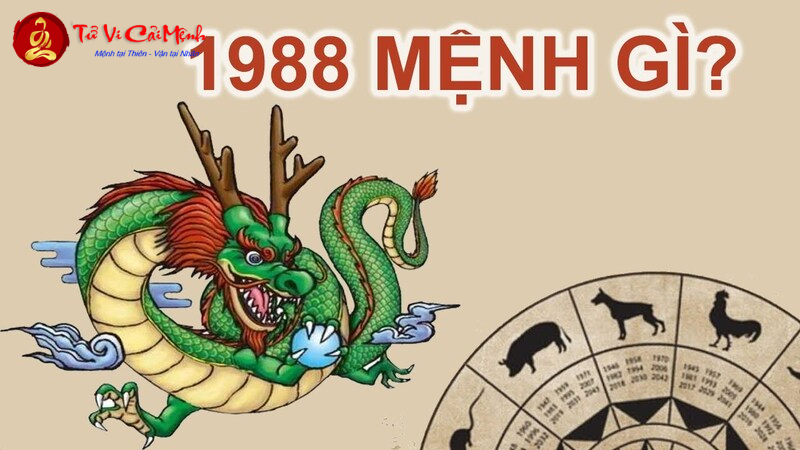 Giải Mã Vận Mệnh Tuổi Mậu Thìn 1988 – Bí Mật Của Mệnh Mộc