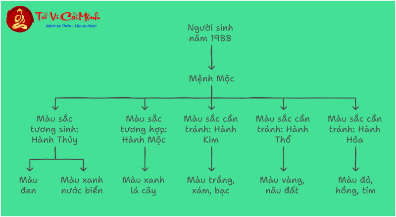 Sinh Năm 1988: Màu Xe Nào Thu Hút Tài Lộc, Tránh Vận Xui?