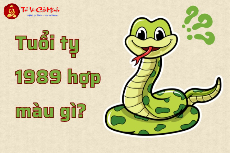 Người Sinh Năm 1989 Phải Biết: Bí Mật Màu Sắc Phong Thủy Mang Lại Tài Lộc!