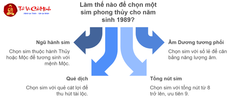 Khám Phá Số May Mắn Và Sim Phong Thủy Chuẩn Cho Người Sinh Năm 1989