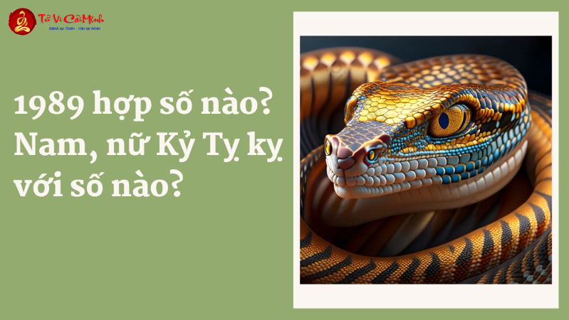 Khám Phá Số May Mắn Và Sim Phong Thủy Chuẩn Cho Người Sinh Năm 1989