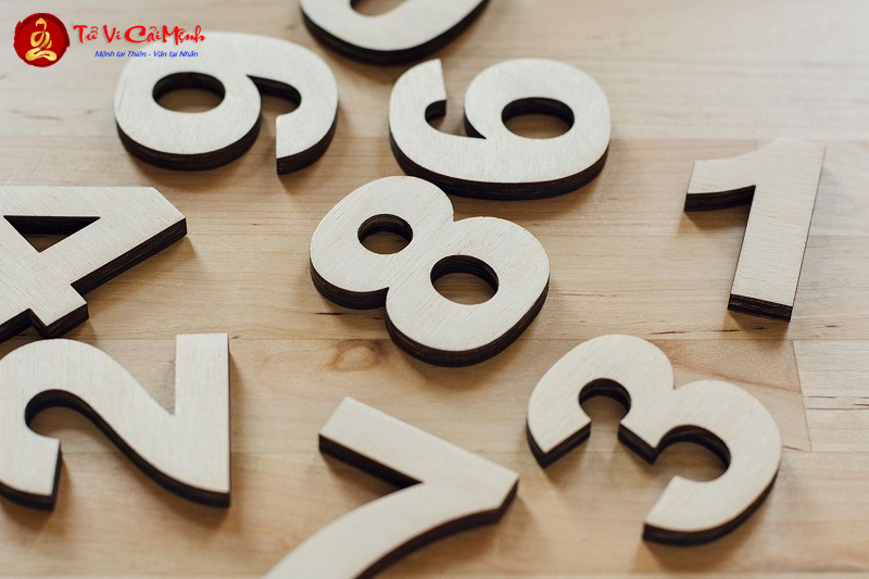Sinh năm 1989 mệnh gì? Khám phá mệnh Đại Lâm Mộc và vận số tuổi Kỷ Tỵ