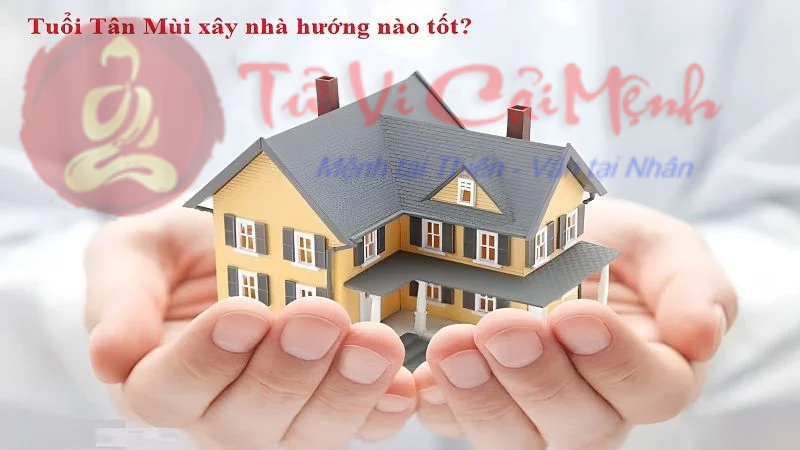 Sinh năm 1991 mệnh gì? Khám phá bí mật mệnh số tuổi Tân Mùi