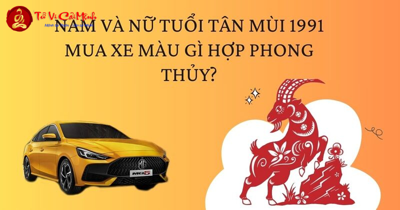 Sinh Năm 1991? Khám Phá Màu Xe Phong Thủy Giúp Tăng Tài Lộc Và Vận May Ngay Hôm Nay!