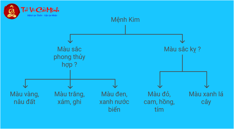 Bí Quyết Chọn Màu Sắc May Mắn Cho Tuổi Quý Dậu 1993 – Đừng Bỏ Lỡ!