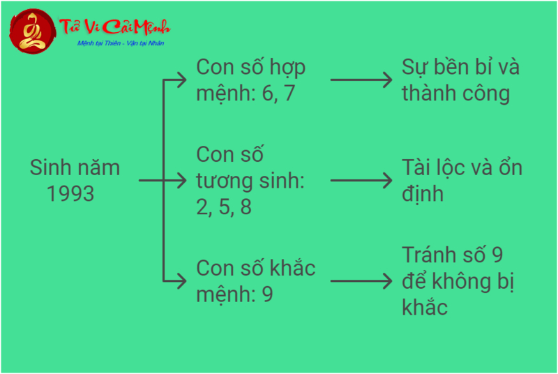 Bí Mật Số May Mắn Cho Người Sinh Năm 1993: Khám Phá Cách Chọn Sim Phong Thủy Kích Tài Lộc!