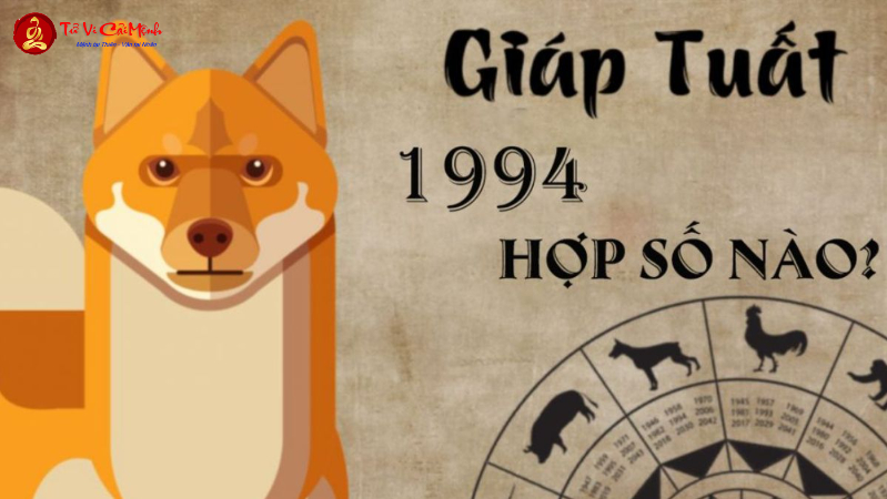 Bí Mật Số May Mắn Tuổi Giáp Tuất 1994: Chọn Sim Phong Thủy Hút Tài Lộc