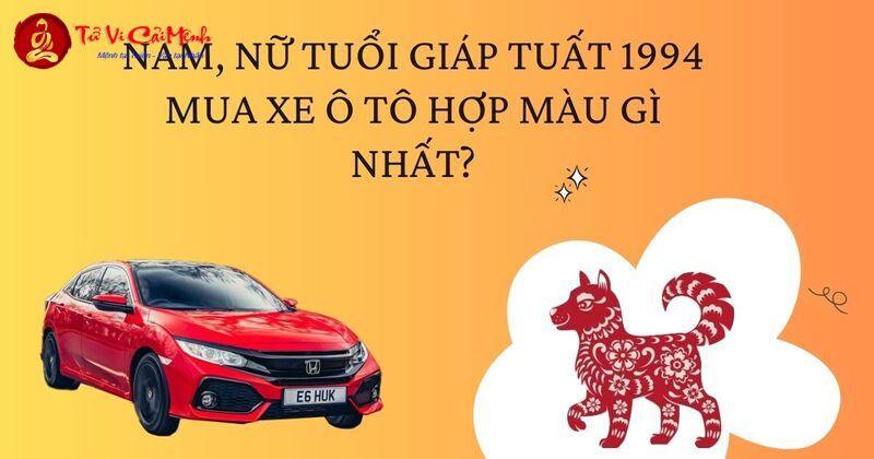 Sinh Năm 1994 Nên Mua Xe Màu Gì Để Kích Tài Vận Và An Toàn?