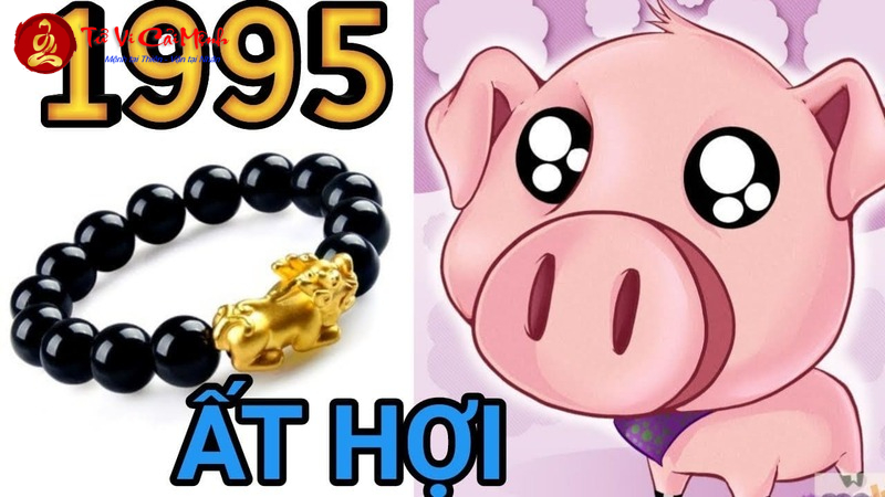 Giải Mã Vận Mệnh Tuổi Ất Hợi 1995 – Bí Quyết Mệnh Hỏa