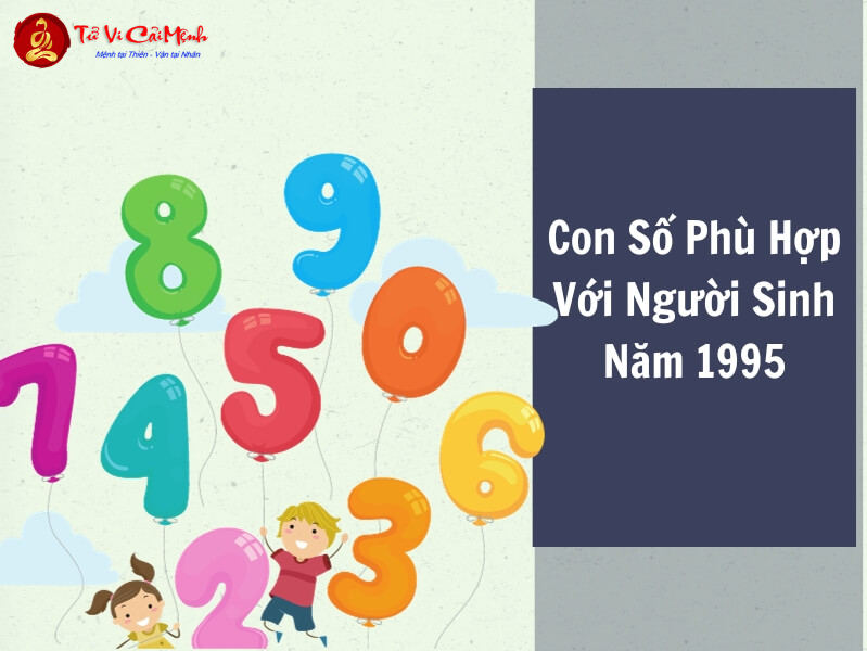 Khám Phá Bí Mật Con Số May Mắn Và Sim Phong Thủy Cho Tuổi Ất Hợi 1995
