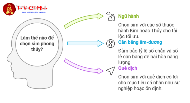 Sinh Năm 1996 Hợp Số Nào? Hé Lộ Bí Quyết Chọn Sim Phong Thủy Kích Tài Lộc!