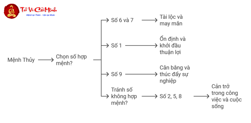 Sinh Năm 1996 Hợp Số Nào? Hé Lộ Bí Quyết Chọn Sim Phong Thủy Kích Tài Lộc!