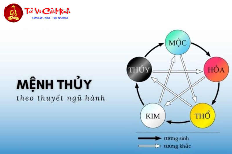 Người Sinh Năm 1997: Bí Quyết Chọn Màu Sắc Thu Hút Tài Lộc và May Mắn