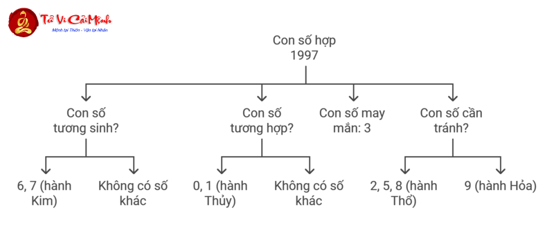 Khám Phá Con Số May Mắn Cho Người Sinh Năm 1997 – Bí Quyết Chọn Sim Hút Tài Lộc!