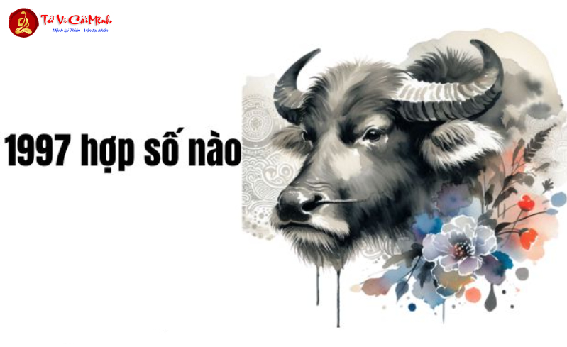 Khám Phá Con Số May Mắn Cho Người Sinh Năm 1997 – Bí Quyết Chọn Sim Hút Tài Lộc!