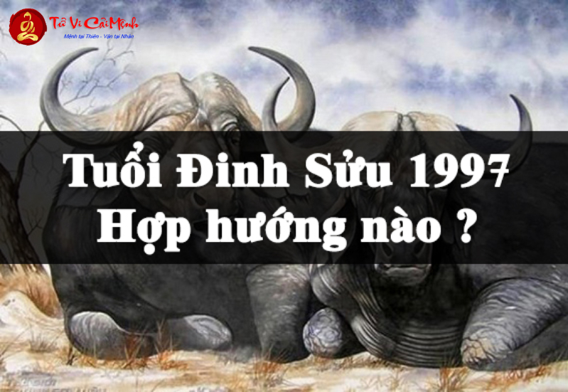 Sinh năm 1997 mệnh gì? Khám phá bí ẩn mệnh Giản Hạ Thủy