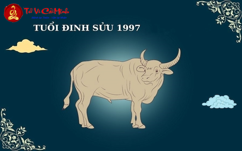 Sinh Năm 1997? Khám Phá Màu Xe Hợp Phong Thủy Để Tài Lộc Thăng Hoa!