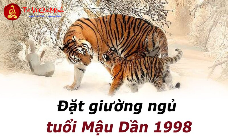 Hé Lộ Bí Mật Phong Thủy: Cách Kê Giường Mang Lại Tài Lộc Cho Người Sinh Năm 1998