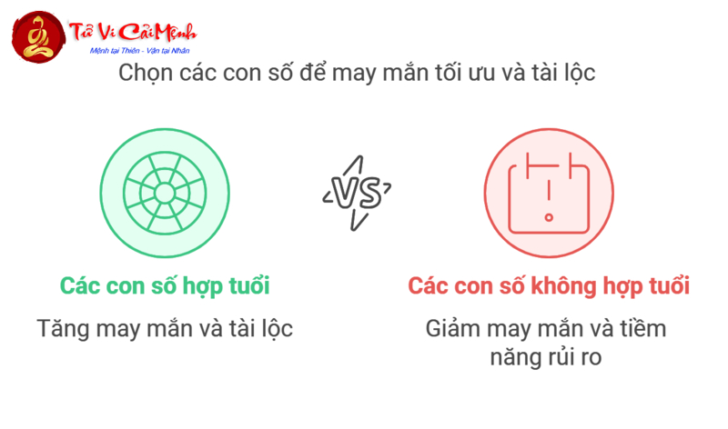 Người Sinh Năm 1998 Hợp Số Nào? Khám Phá Bí Quyết Chọn Sim Phong Thủy Để Đổi Đời!