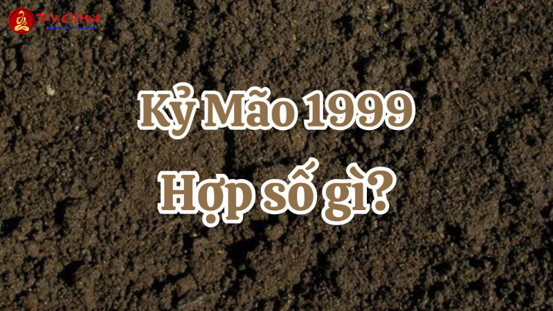 Sinh Năm 1999? Khám Phá Con Số May Mắn Và Bí Quyết Chọn Sim Phong Thủy Để Đổi Vận