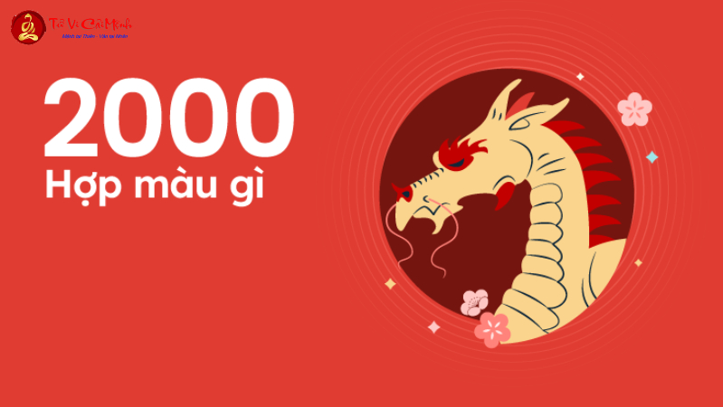 Sinh năm 2000 hợp màu gì? Bí quyết chọn màu sắc phong thủy cho tuổi Canh Thìn