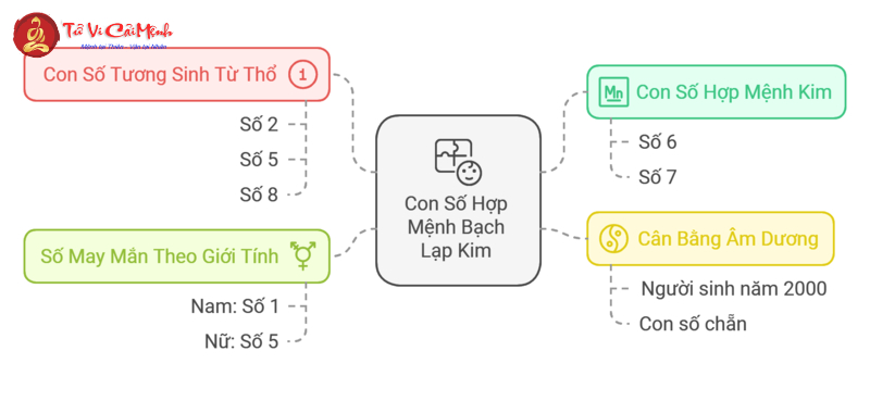 Khám Phá Bí Mật: Sinh Năm 2000 Hợp Số Nào Và Cách Chọn Sim Phong Thủy Tăng Tài Lộc