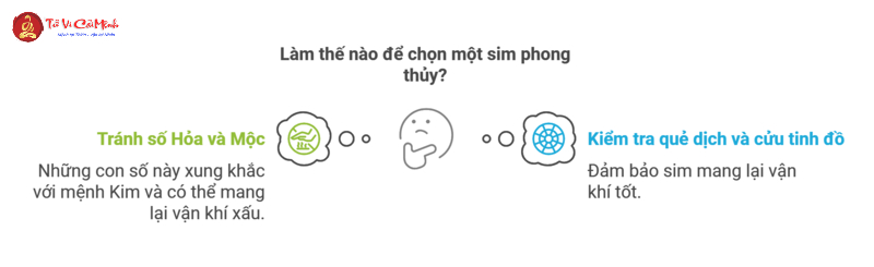 Khám Phá Bí Mật: Sinh Năm 2000 Hợp Số Nào Và Cách Chọn Sim Phong Thủy Tăng Tài Lộc