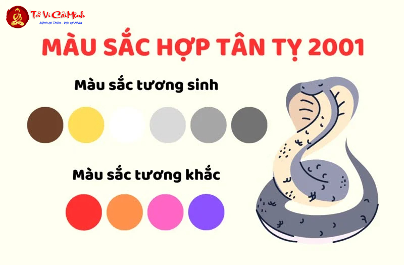 Sinh năm 2001 hợp màu gì? Bí quyết phong thủy cho người tuổi Tân Tỵ