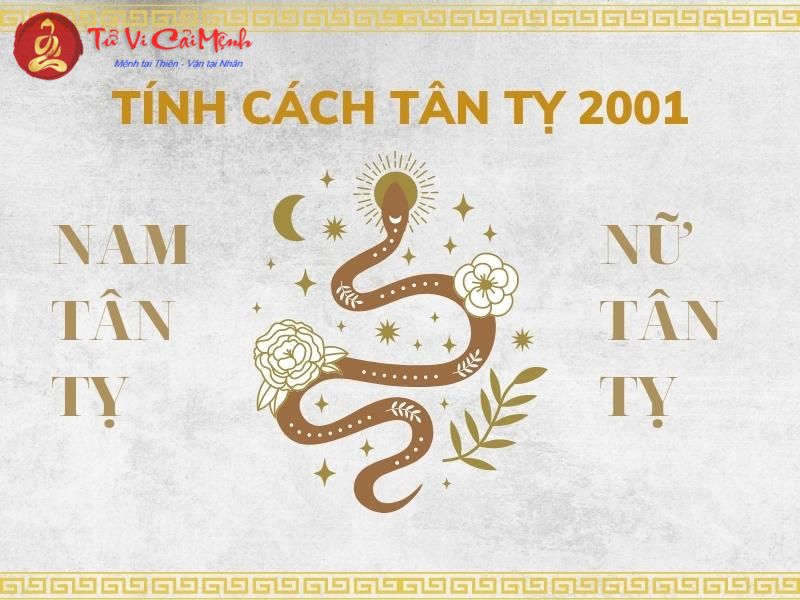 Khám Phá Vận Mệnh Tuổi Tân Tỵ 2001 – Bí Quyết Của Mệnh Kim